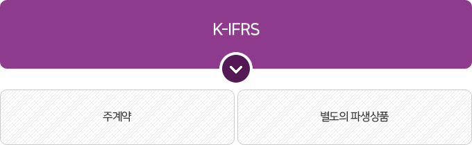 한국자산평가 K-IFRS 서비스 내재파생분리 Process 및 방법론
